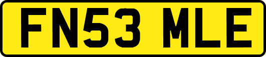 FN53MLE