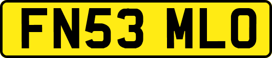 FN53MLO