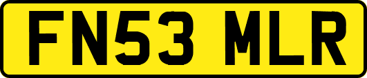 FN53MLR