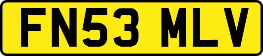 FN53MLV