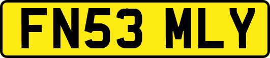 FN53MLY