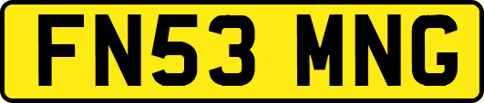 FN53MNG