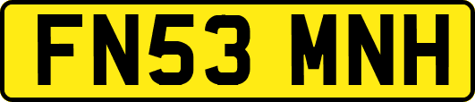 FN53MNH