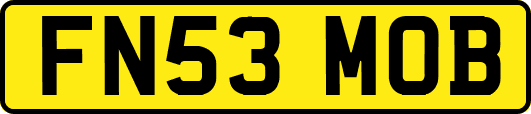 FN53MOB