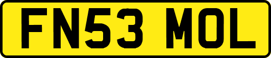 FN53MOL