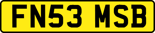 FN53MSB