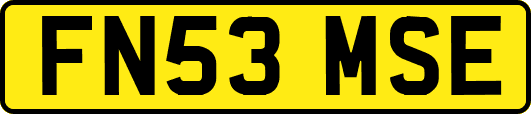 FN53MSE