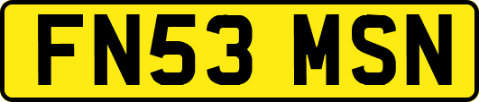 FN53MSN