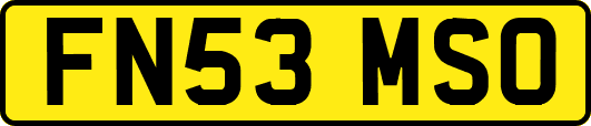 FN53MSO