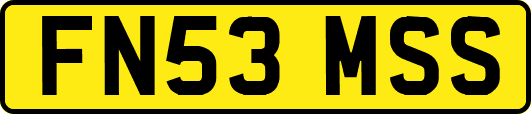 FN53MSS