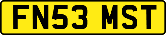 FN53MST