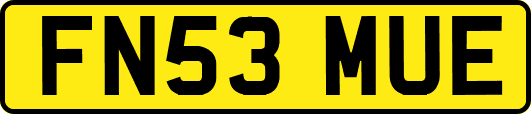 FN53MUE