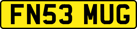 FN53MUG