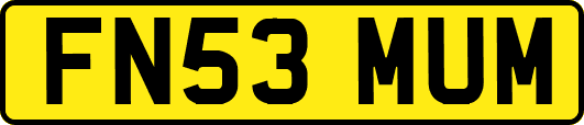 FN53MUM