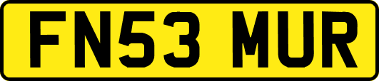FN53MUR
