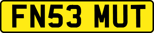 FN53MUT