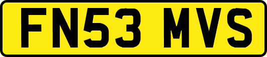 FN53MVS