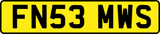 FN53MWS
