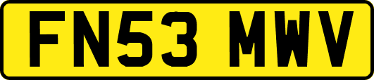 FN53MWV