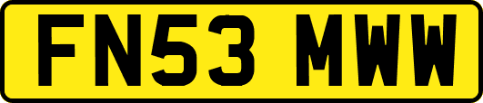 FN53MWW