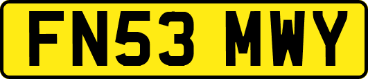 FN53MWY
