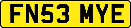 FN53MYE