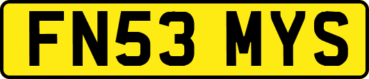 FN53MYS