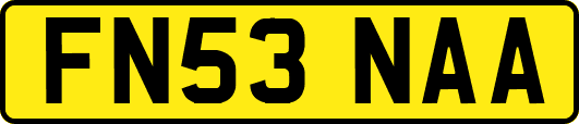 FN53NAA