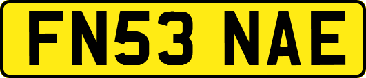 FN53NAE