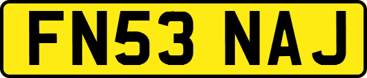 FN53NAJ