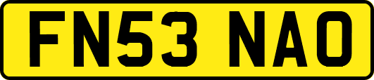 FN53NAO