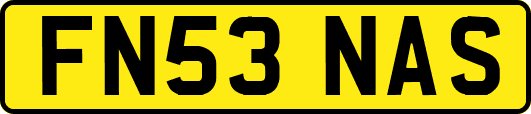 FN53NAS