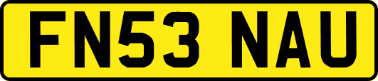 FN53NAU