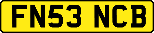 FN53NCB