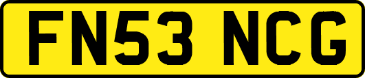 FN53NCG