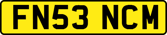 FN53NCM