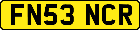 FN53NCR