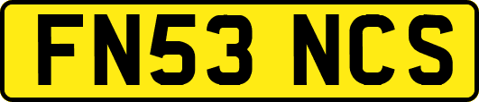 FN53NCS