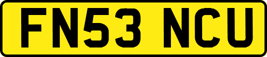 FN53NCU