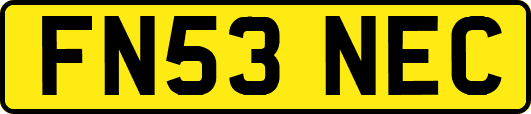 FN53NEC