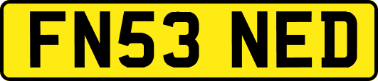 FN53NED