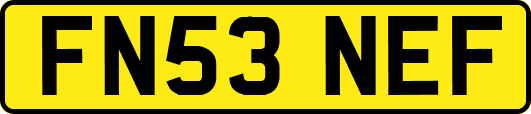 FN53NEF