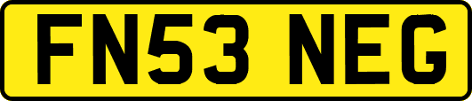 FN53NEG