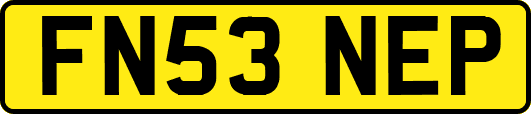FN53NEP