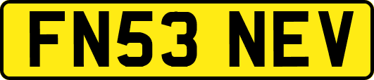 FN53NEV