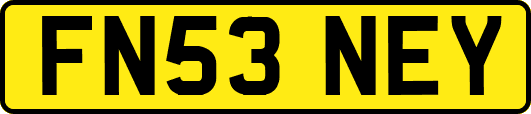 FN53NEY