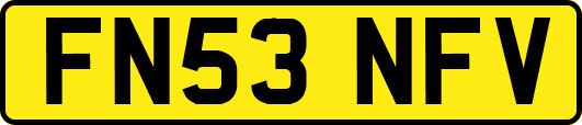 FN53NFV