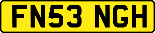 FN53NGH