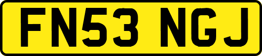 FN53NGJ