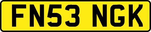 FN53NGK